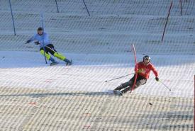 dual slalom ski racing